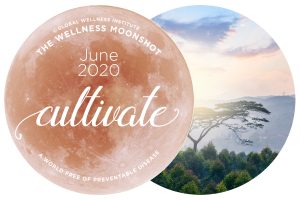 Cultivate Wellness At Work and Home